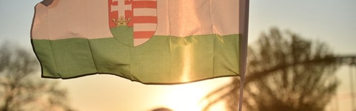 В Венгрии стартовали парламентские выборы: станут ли они для Орбана "триумфальным днем"