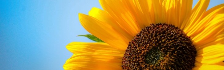 Погода в Україні 3 липня: подекуди до 34°, можливі град і шквали (КАРТА)