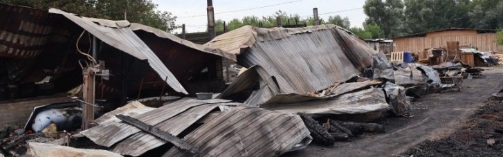 Загибель тварин у притулку: копи розслідують обставини пожежі на Київщині