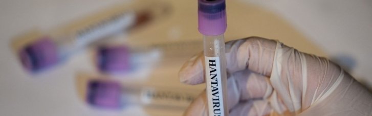 Хантавирус: вакцину до сих пор еще разрабатывают