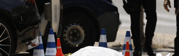 У Німеччині затримали підозрюваного у вбивстві Портнова, — ЗМІ