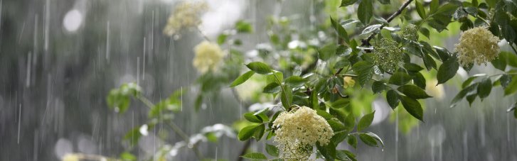 Погода в Україні 8 травня: місцями дощі, вдень до +28° (КАРТА)