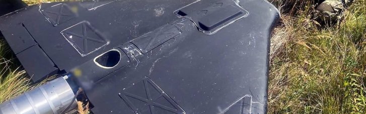 У полі на Житомирщині впав та не здетонував ворожий БпЛА