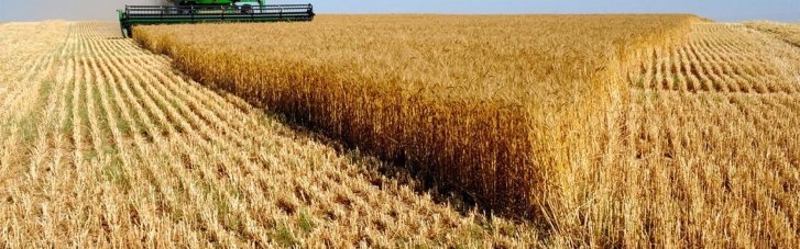 Подорвет доверие инвесторов и нанесет вред малым производителям: эксперты объяснили, чем обернется запрет на экспорт рапса и сои