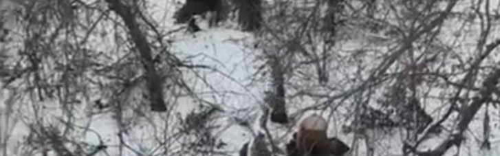 Под Покровском российские военные расстреляли двух безоружных бойцов ВСУ
