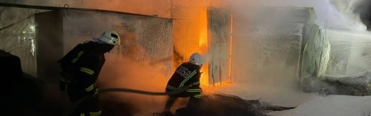 Російська атака спричинила пожежу в Дунайському біосферному заповіднику