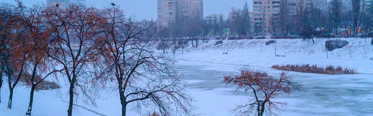 Погода в Украине 20 января: на западе туман и гололедица, местами до 11° мороза (КАРТА)