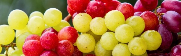 Помогут защитить сердце и мозг: названы 11 продуктов, богатых антиоксидантами