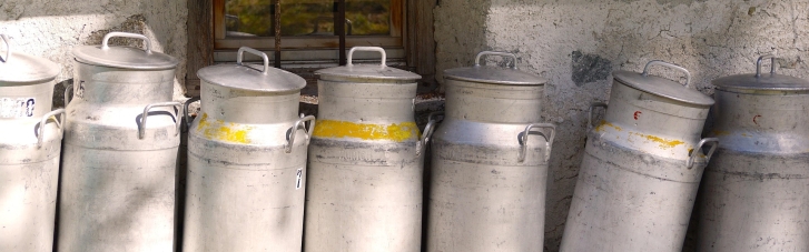 Молочні продукти в Україні можуть здорожчати: як зміняться ціни