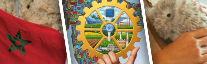У світі про економіку. Битва африканських гігантів, виробничий бум Індії та хатні ШІ-улюбленці