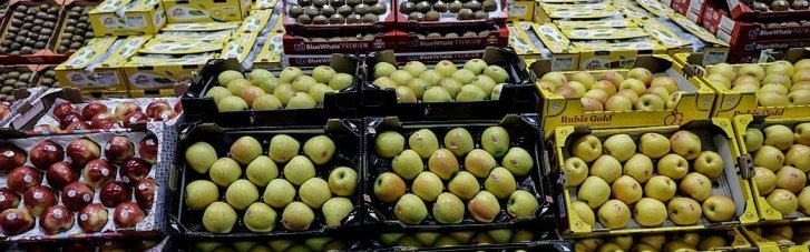 Забезпечать достатню кількість клітковини: дієтологиня назвала 12 альтернатив вівсянці