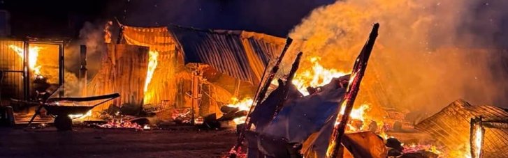 На Київщині горів притулок, де дбають про більш як три тисячі котів та собак (ФОТО, ВІДЕО)