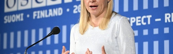 Финляндия предложила частичное прекращение огня в Украине для обсуждения "мирного плана"