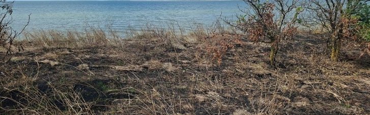 Армія РФ атакувала торговельний суховантаж у Чорному морі: є загиблий, екіпаж евакуювали