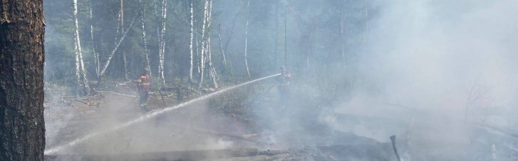 Падение вражеского дрона спровоцировало пожары в Чернобыльской зоне: есть ли опасность