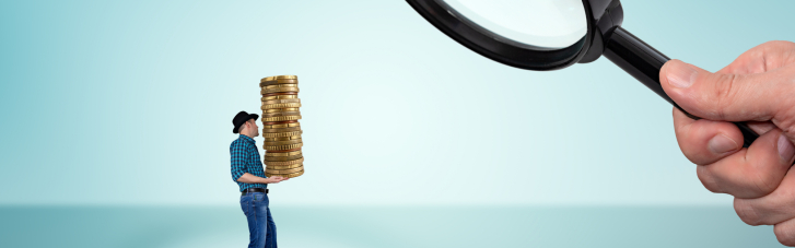 У пошуках 60 мільярдів. Як Україні поповнити бюджет замість "податків для МВФ"