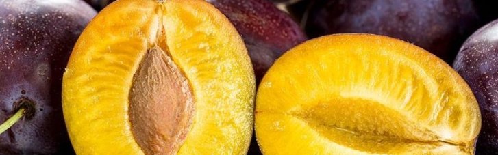 Соковиті вітаміни: корисні властивості сливи і кому її слід їсти з обережністю