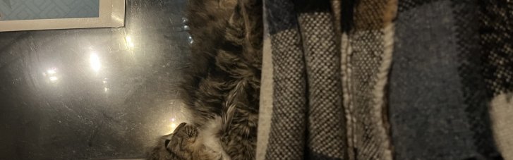 Нардеп пояснив, чому уряд не допомагатиме Києву готуватись до холодів: влада робить киян розмінною монетою у боротьбі проти Кличка