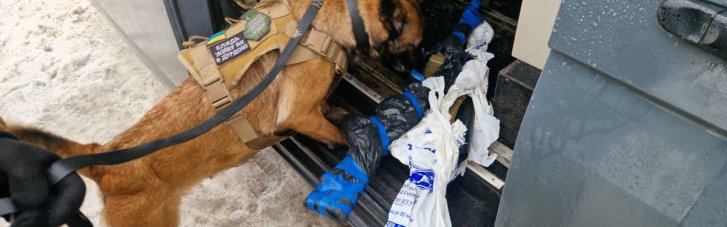 Нацгвардейцы бригады "Скиф" изъяли на блокпостах под Харьковом автоматы на целую роту (ФОТО)