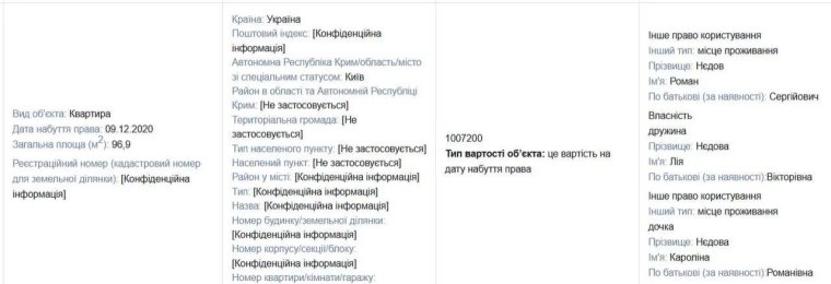 Скріншот декларації: розслідування Informator.ua