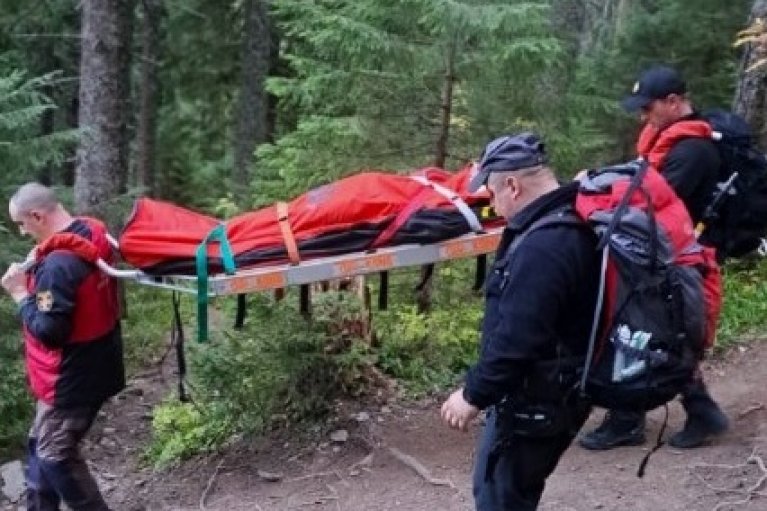 У Карпатах на горі Хом'як помер турист, - ДСНС