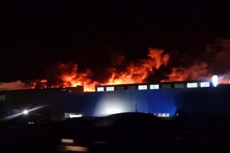 "Яндекс" підсмажує росіян, а півням забороняють битися: чим жив Запорєбрік на тижні