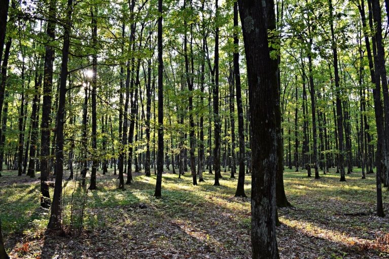 Якою буде погода в Україні у вересні: прогноз Укргідрометцентру