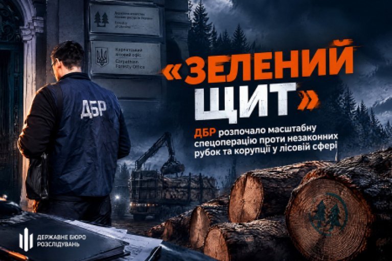ДБР объявила старт спецоперации "Зеленый щит", направленной на коррупцию в лесной отрасли и незаконные рубки