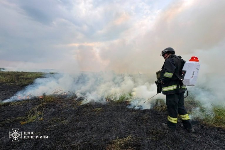 У Слов'янську масштабна пожежа сухостою дісталася житлових будинків