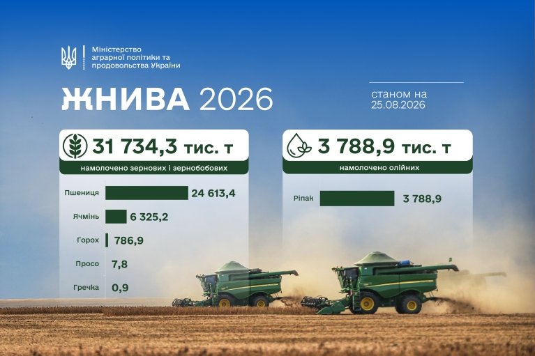 В Україні жнива вийшли на фінішну пряму: яка урожайність збіжжя