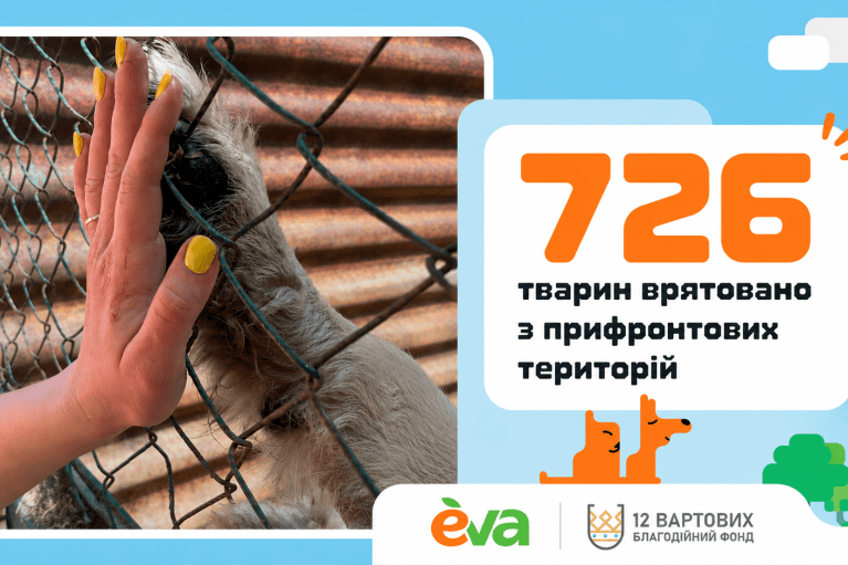 "Купуй – рятуй": нова ініціатива допомогла врятувати 726 тварин із прифронтової зони