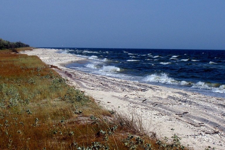 Командир ОТУ "Одеса" розповів, що росіяни потрапили у пастку на Кінбурнській косі
