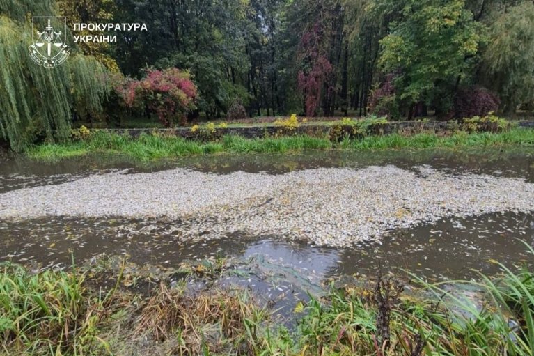 Ворог уразив підприємство з виробництва побутової хімії в Хмельницькому. Атака спричинила екологічне лихо