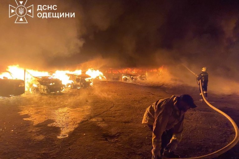 В Одесской области из-за вражеской атаки поврежден приют для животных