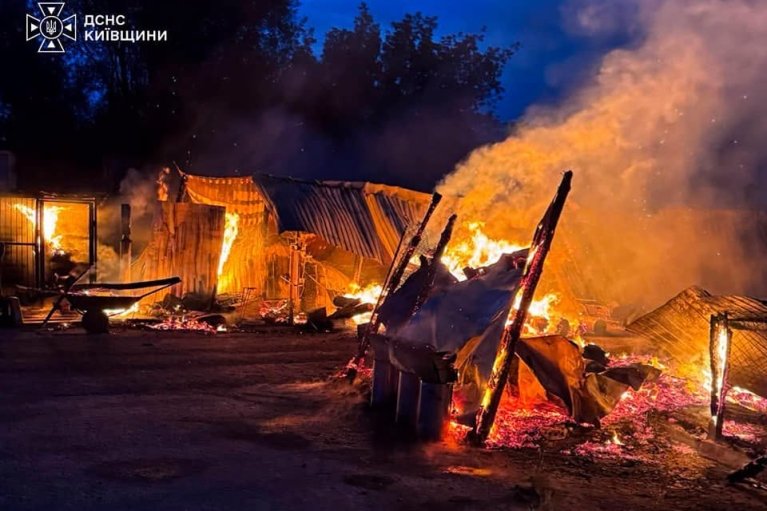 На Киевщине горел приют, где заботятся о более трех тысячах кошек и собак (ФОТО, ВИДЕО)