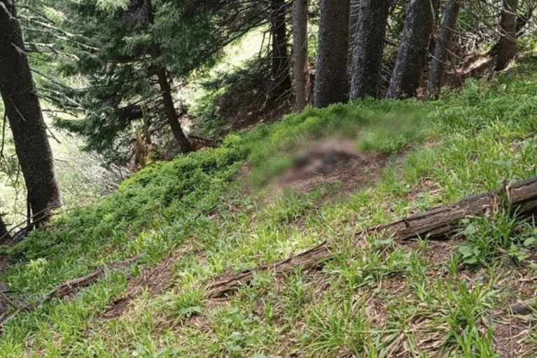 В глухих Карпатах в 3,5 км от границы с Румынией нашли тело мужчины (ФОТО)