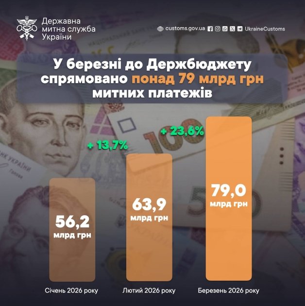 Інфографіка: Державна митна служба