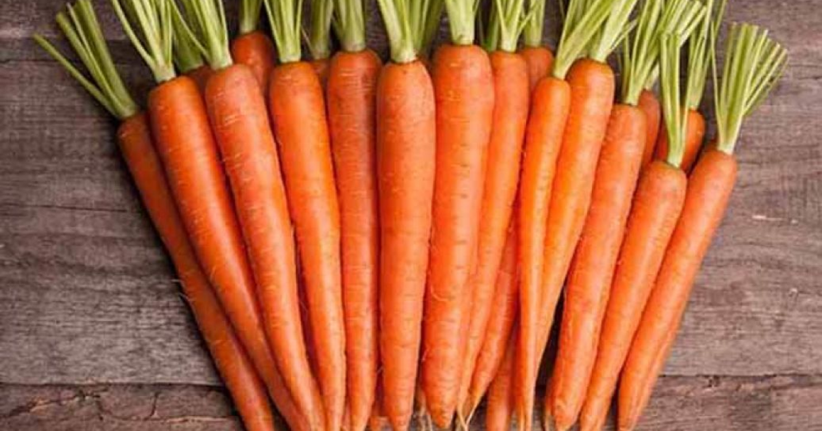 Рецепти з моркви: тушкована та не тільки