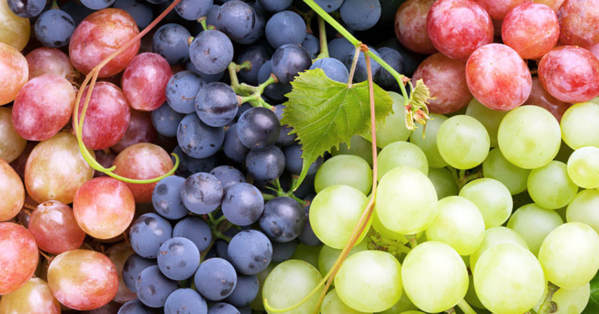 Чому корисно їсти виноград із кісточками?
