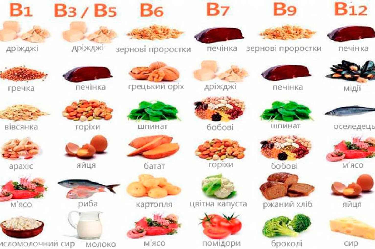 Продукты с витамином в 2. Витамины b3, b6, b9, b12. B1 b2 b6 b12 витамины. Витаминов b1, b2, b3, b5, b6, b9, b8, b12;. Витамин в6 в9 в12.