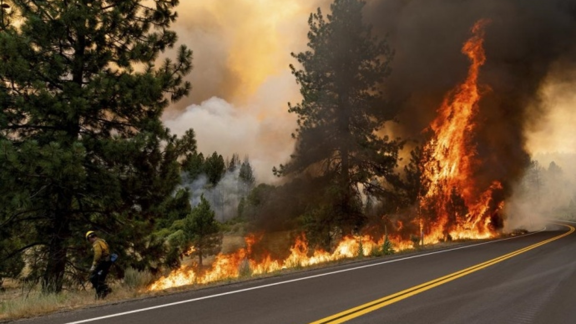 Лесной пожар в калифорнии. Лесные пожары в Калифорнии 2020. Лесные пожары в Калифорнии 2018. США Лесной пожар в Калифорнии.