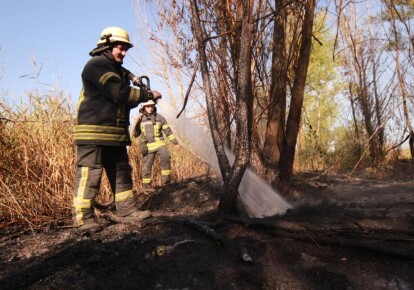 Пожежа на сміттєзвалищі у Дарницькому районі Києва