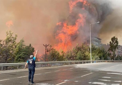 У Туреччині продовжують бушувати пожежі
