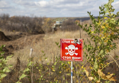 В Донецкой области женщина подорвалась на российской мине. Фото: УНИАН