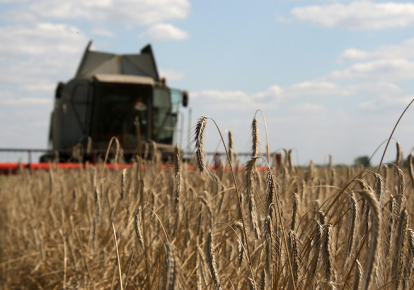 Украина не засеет зерном треть полей