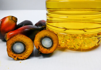 Пальмовое масло является абсолютным рекордсменом по объему мирового производства растительных масел / Shutterstock