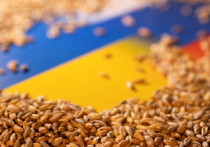 Россияне продолжают воровать украинское зерно
