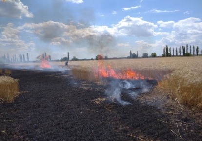 Пожар в Николаевской области