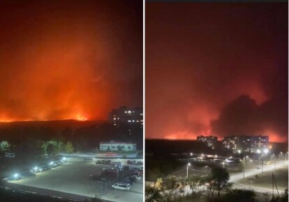 Лісові пожежі на Луганщині
