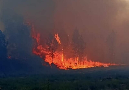 Лесной пожар во Франции